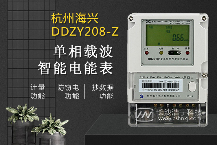 遠程預(yù)付費電表